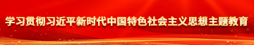 男人和女人操逼学习贯彻习近平新时代中国特色社会主义思想主题教育